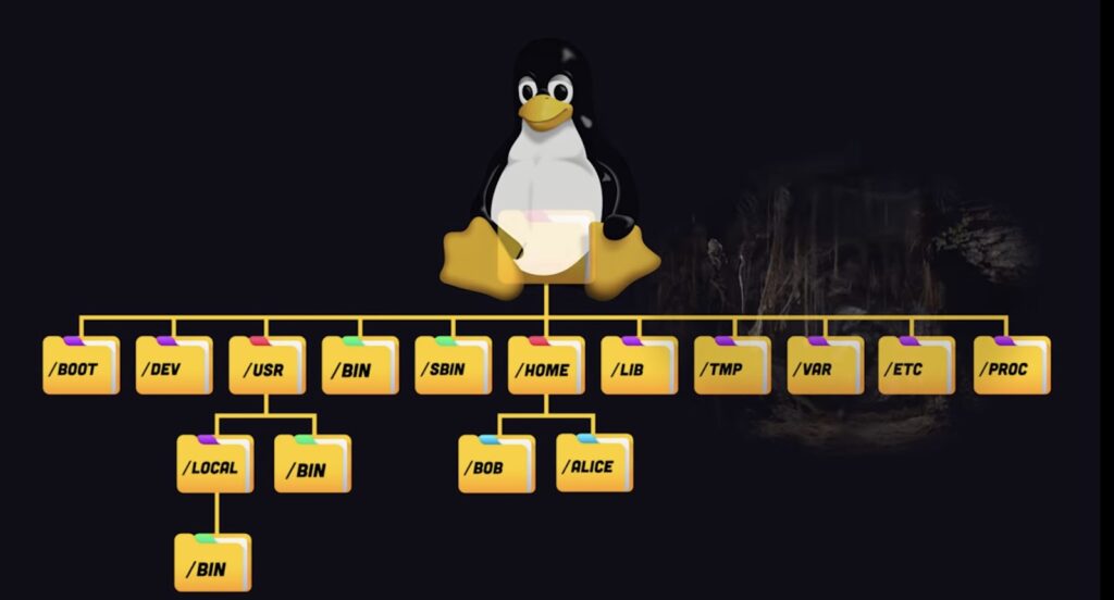 Demystifying File System Hierarchy in Linux